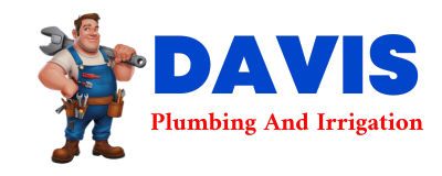 Trusted plumber in COTTON CENTER